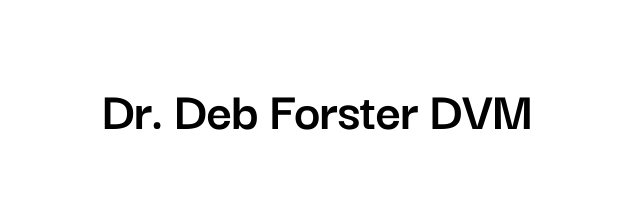 Dr Deb Forster DVM