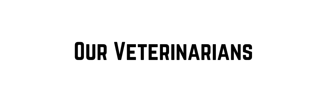 Our Veterinarians